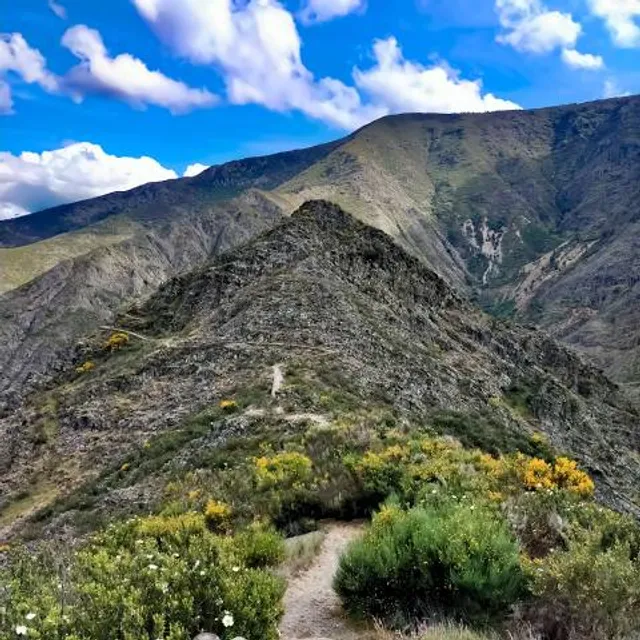 Mirador de la Pregonera