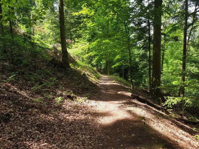 Wildgehege im Dobeltal Bad Herrenalb