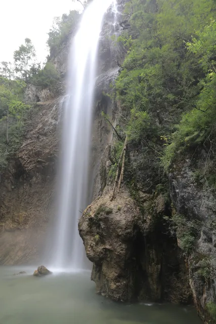 place image