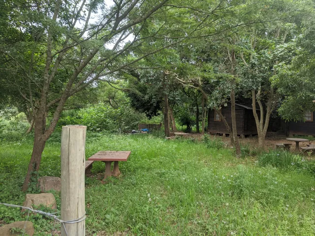 photo-1
