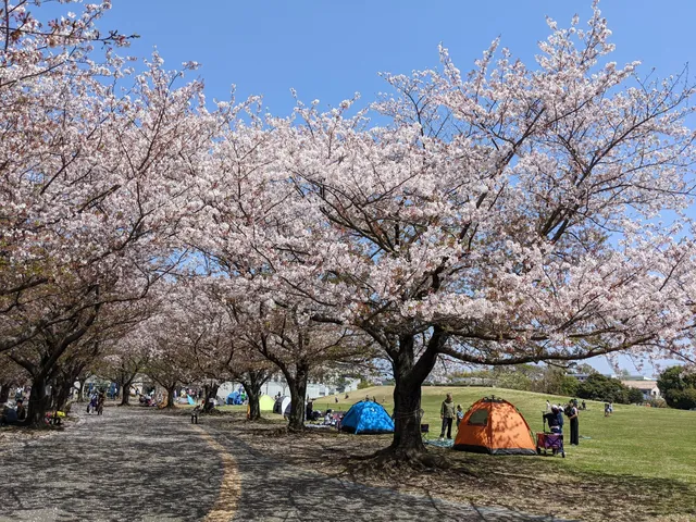 Samukawa Central Park