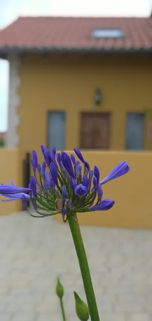 Apartamento En Busca del Viento del Norte