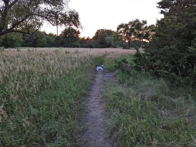 Rickman's Run at Holmes Lake Park