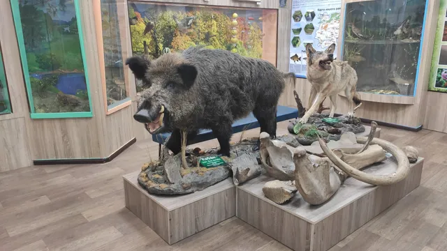 Konotopsʹkyy Misʹkyy Krayeznavchyy Muzey