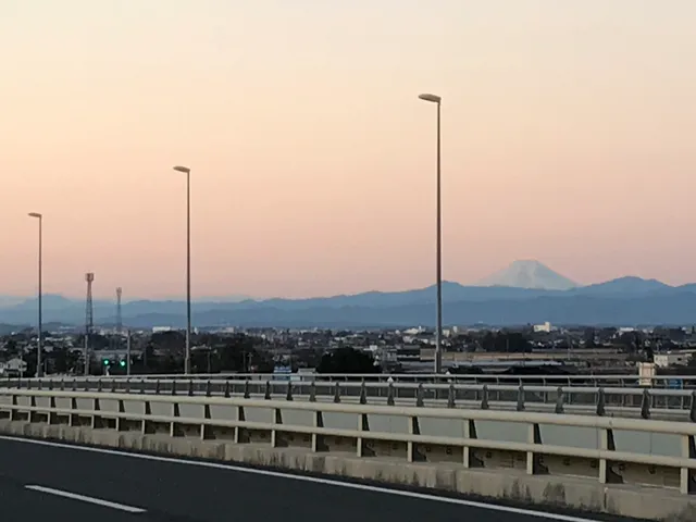 Showa Bridge