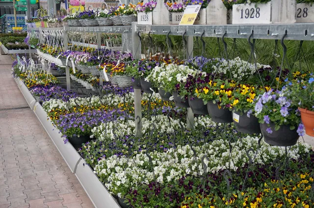 Ranzijn tuin & dier Amersfoort