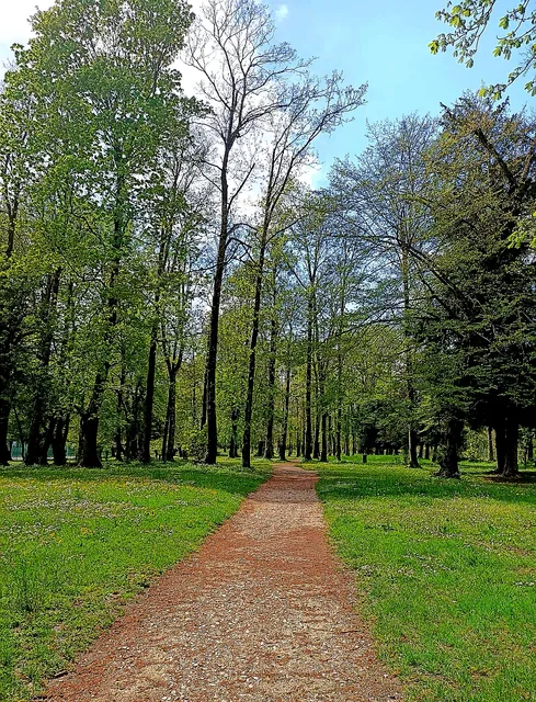 Parc du Vergeron