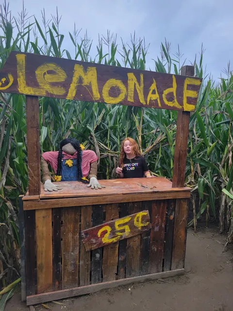 Muddy Boots Pumpkins