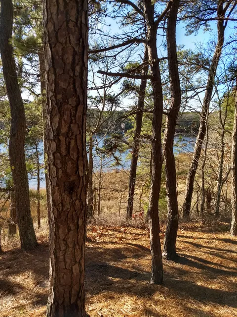 photo-2