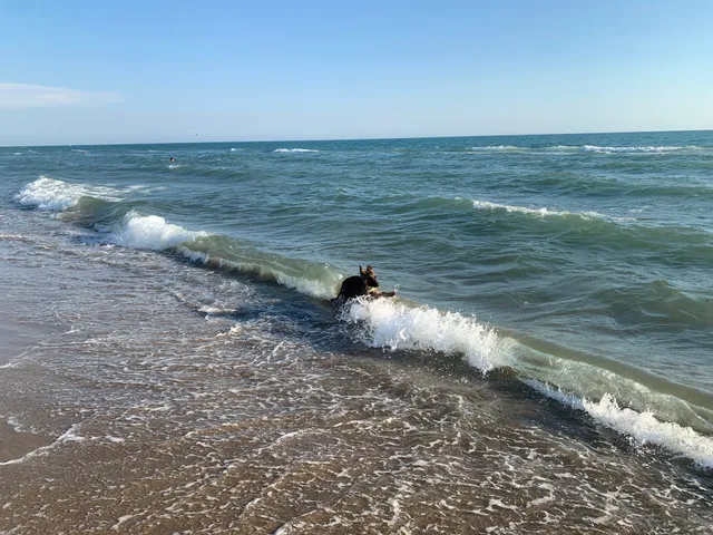 Oasi Naturista Di Capocotta