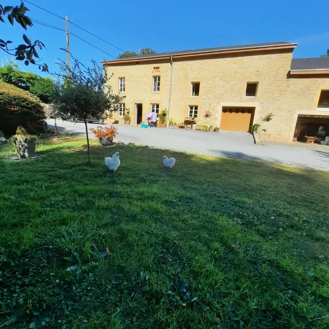 Les étangs du moulin d'Harcy