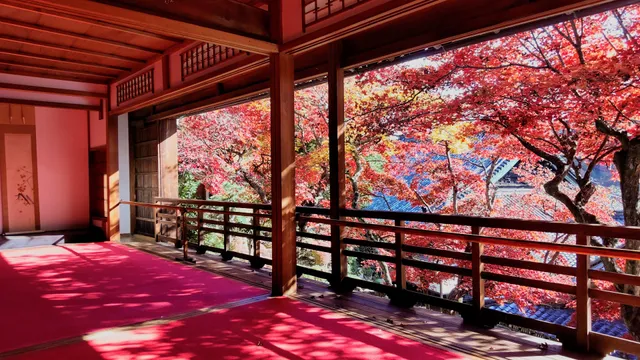 Yōkoku-ji Temple (Yanagidani Kannon)