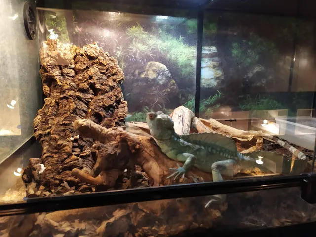 Vladimirskiy Ekzotarium