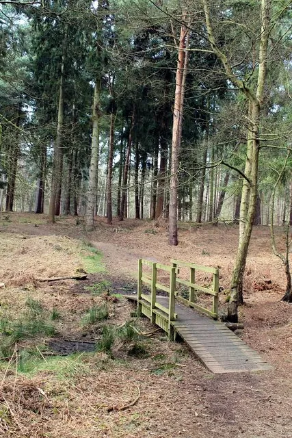 Reffley Wood