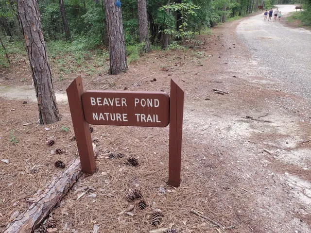 Little Pee Dee State Park