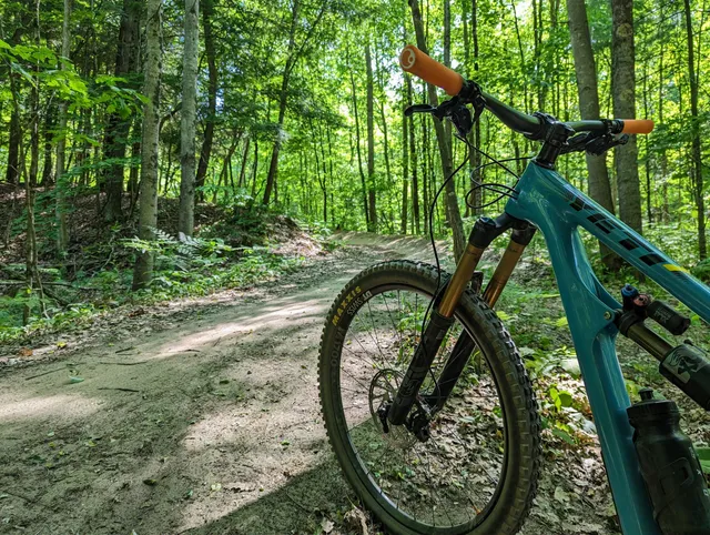 Mosquito Creek Trails