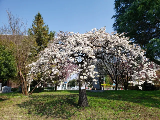 Minamirinkan Central Park