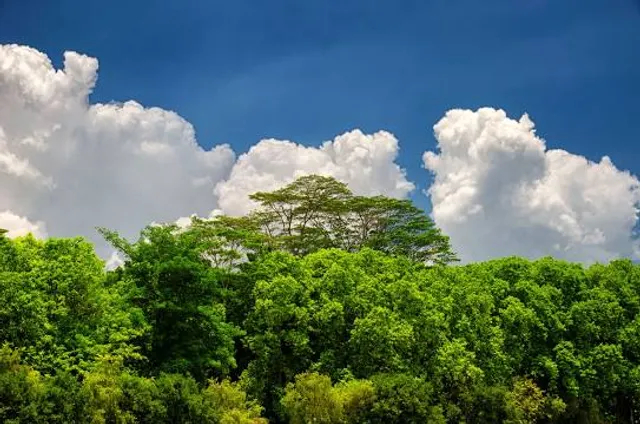 Red Bank Battlefield Park