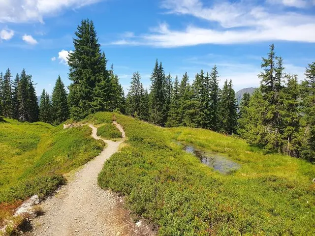 Saalach Valley Ridgeway