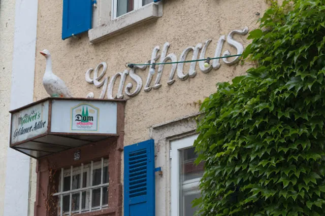 Gilberts Goldener Adler