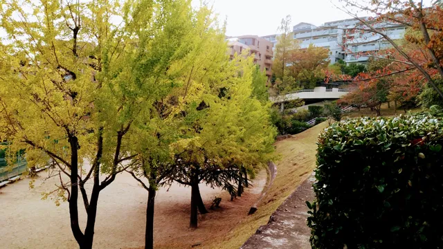 Asahigaoka Kita Park