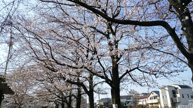 Kurihara 1-Chome Park