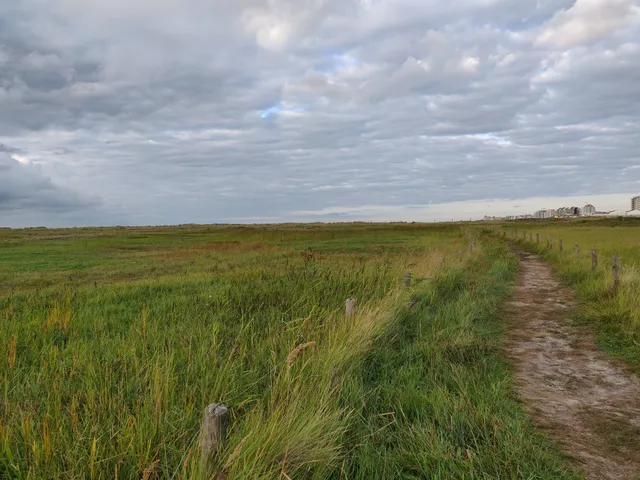 Vlaams Natuurreservaat De Baai Van Heist
