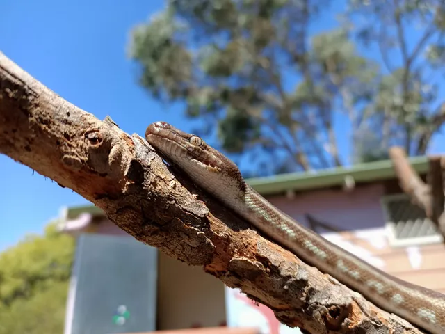 Naragebup - Rockingham Regional Environment Centre