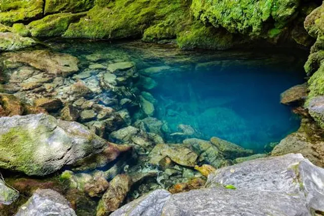 The Riwaka Resurgence