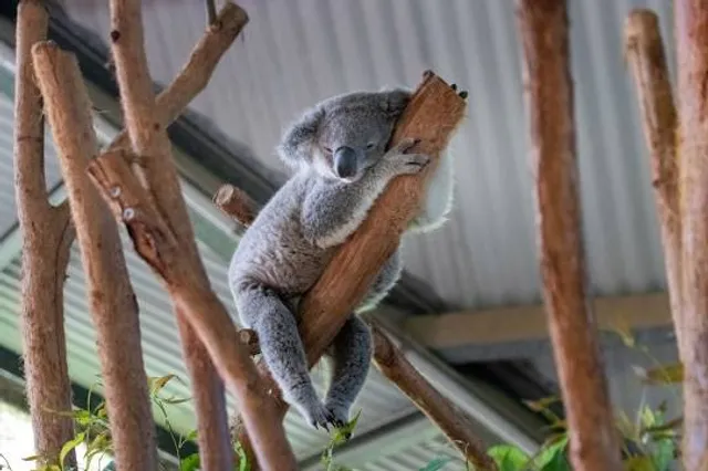 Port Macquarie-Hastings Council