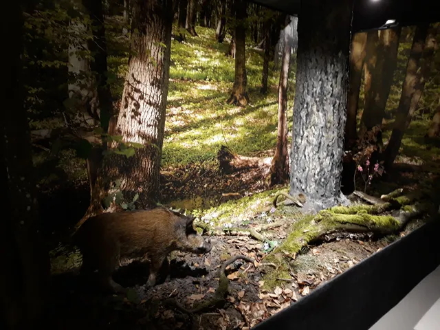 Pomorski Zespół Parków Krajobrazowych w Słupsku