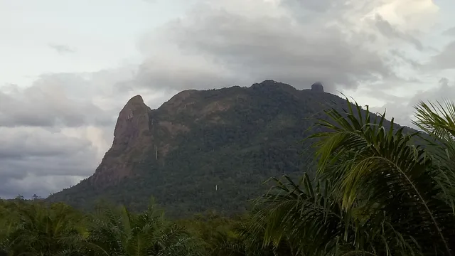 Bukit Kujau