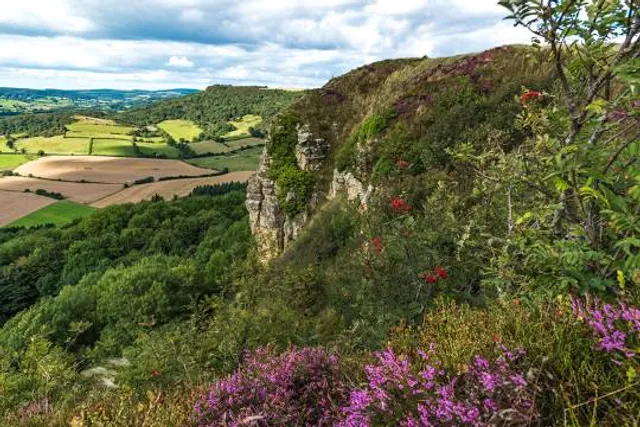 Sutton-under-Whitestonecliffe