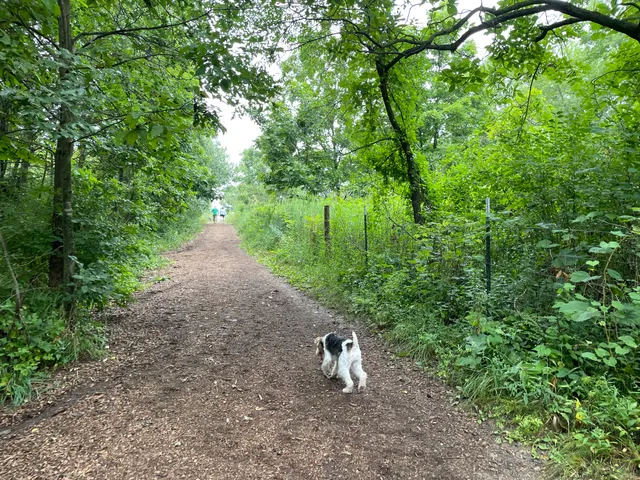 Prairie Moraine Dog Park