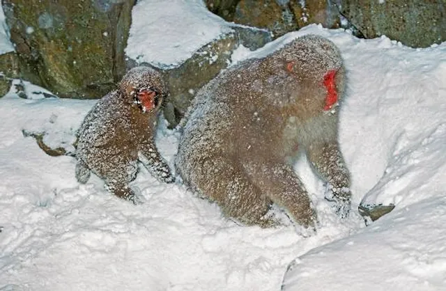 Kiselovskaya Peshchera