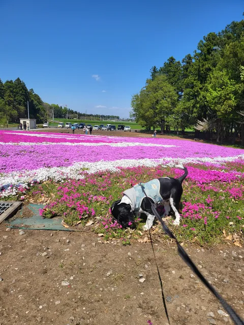 Wakanohara Rural Park