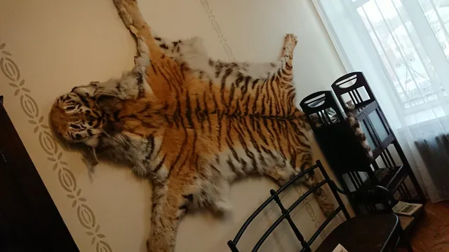 Dom-Muzey V.k.arsen'yeva