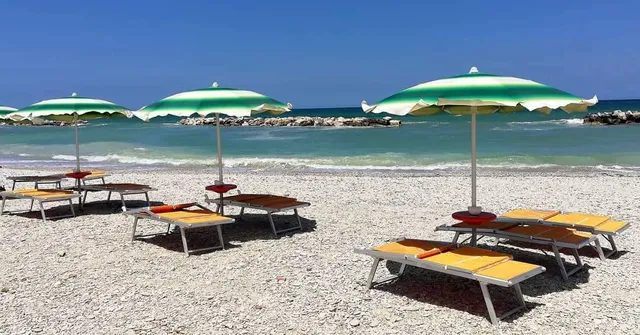 Beach Of Seagulls - Fano
