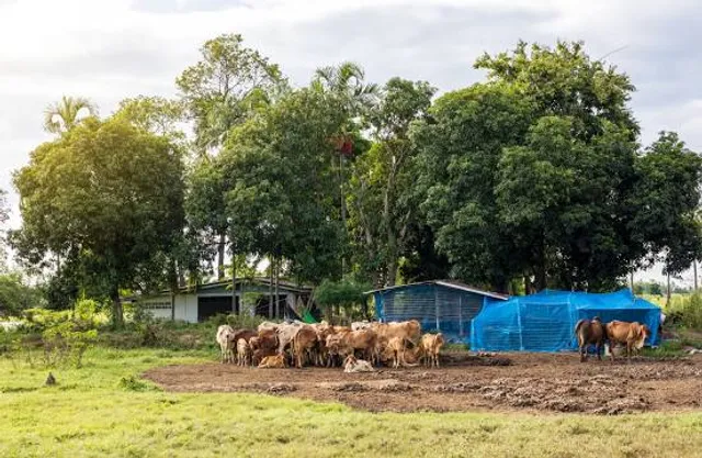 Outback Pioneers - Tours And Experiences