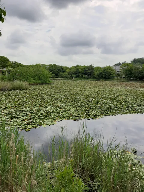 Heijo Dai 4 Go Kinrin Park