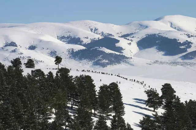 Sarıkamış-Allahuekber Dağları Millî Parkı