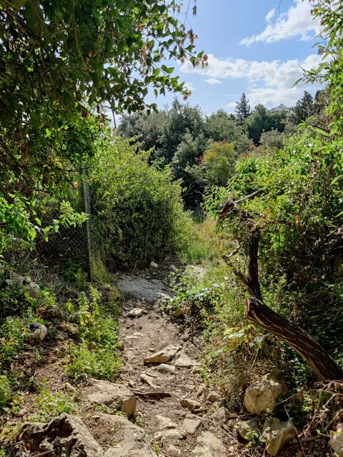 photo-1