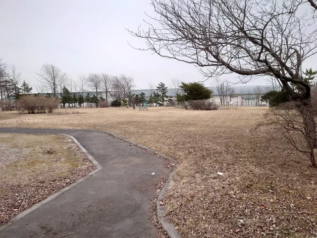 Minato Park