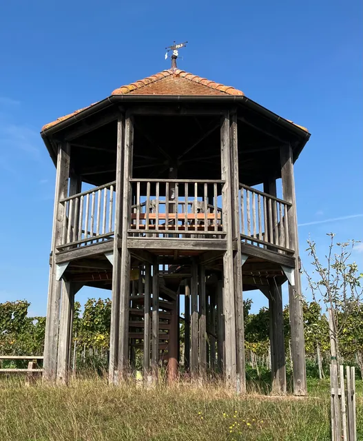 Gemeinde Fels am Wagram