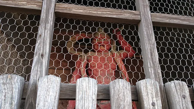 photo-1