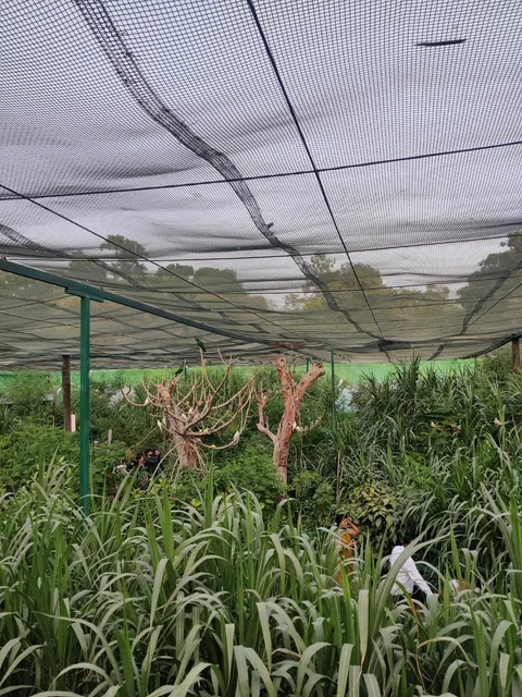 Bird Aviary, Indore Zoo