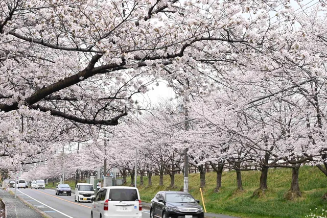 Uchiagegawa-chisui Ryokuchi Park