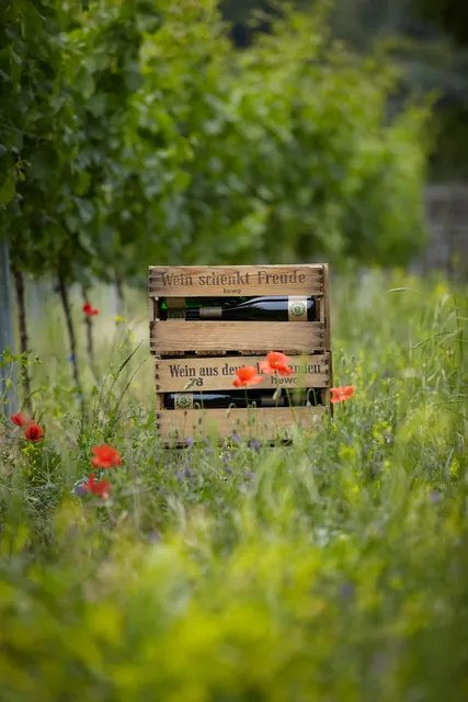 Weingut Sommer Hambach Pfalz