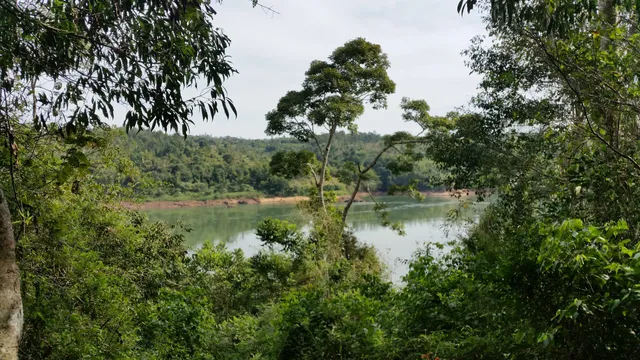 Municipio de Caraguatay