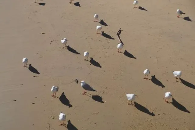 Still Life with Stone and Car